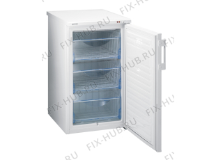 Холодильник Gorenje F50106W (280067, ZOS 1056) - Фото